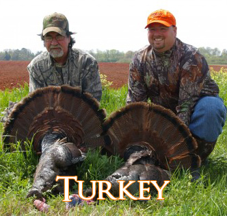 Georgia Turkey Hunting