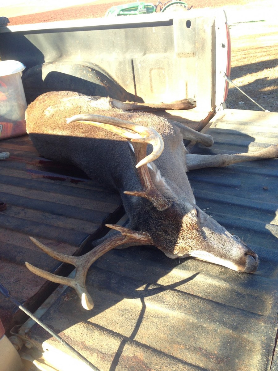 Deer Hunting 35
