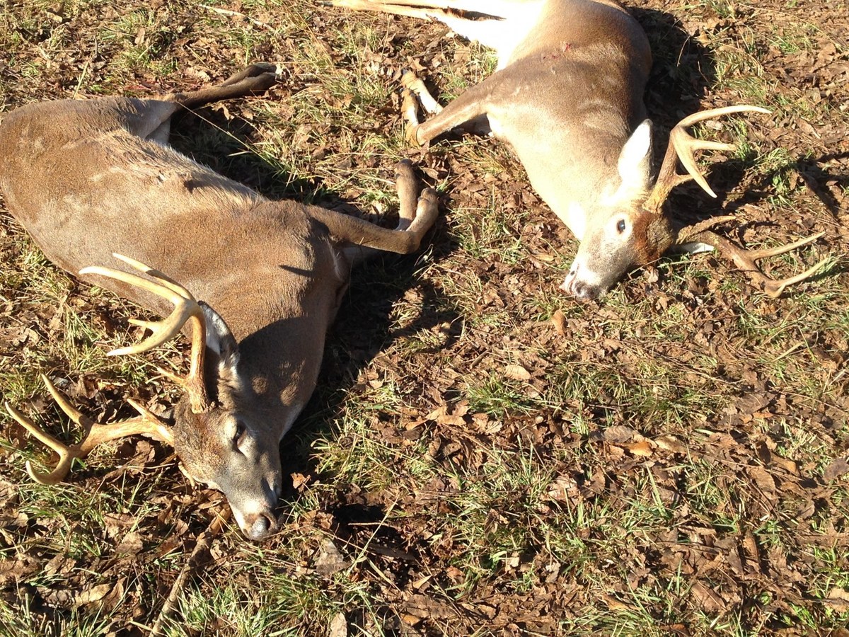 Deer Hunting 36