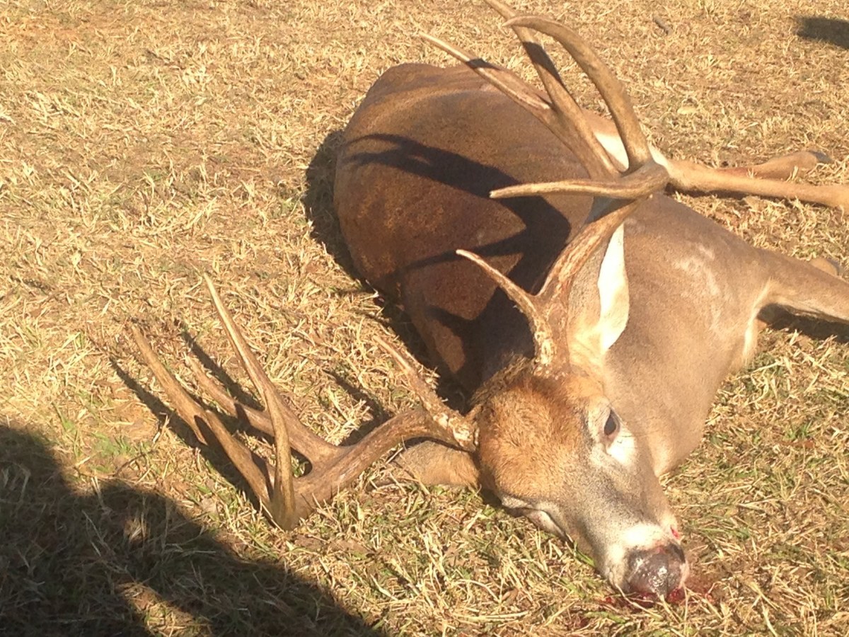 Deer Hunting 38