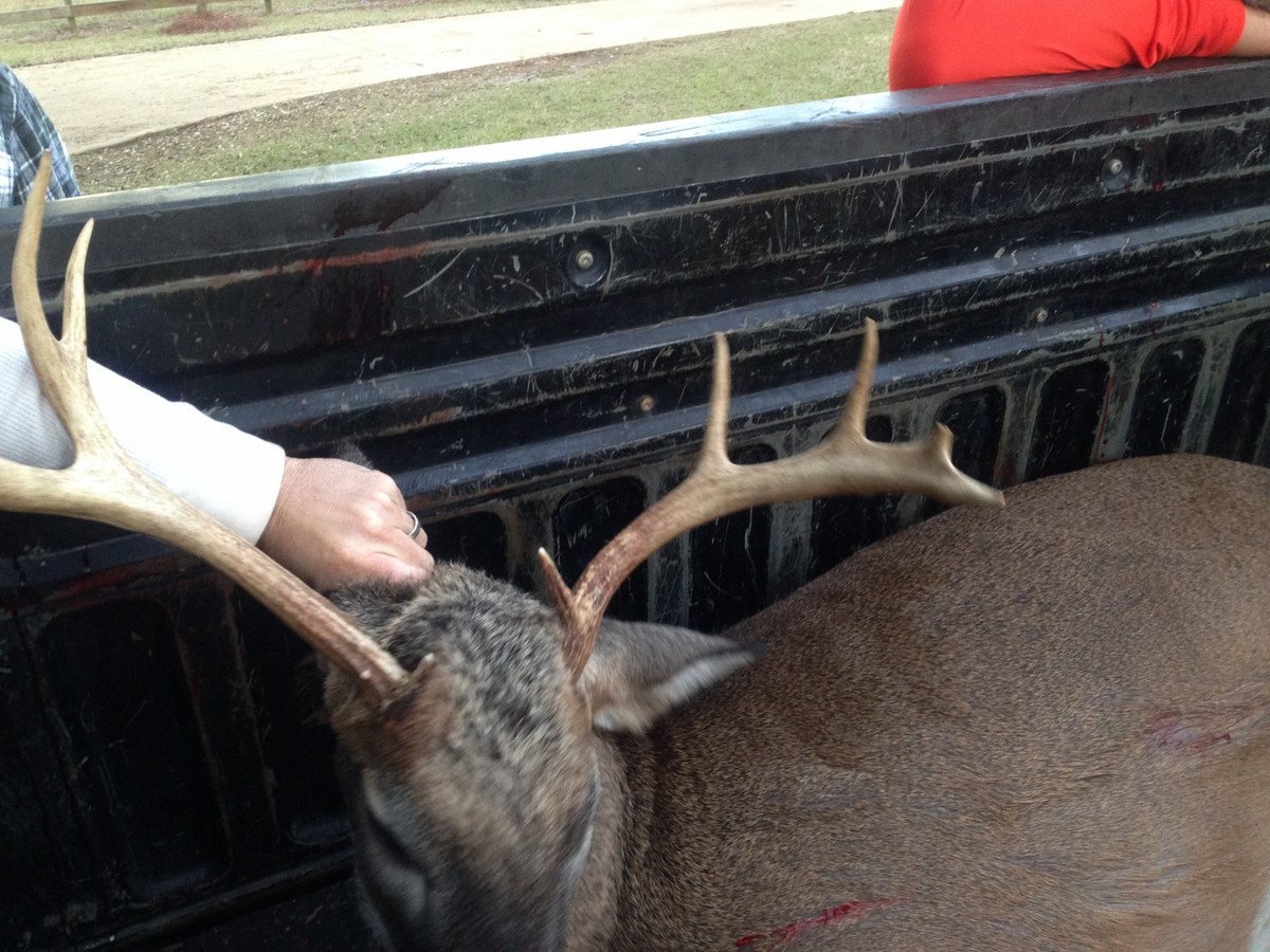 Deer Hunting 43