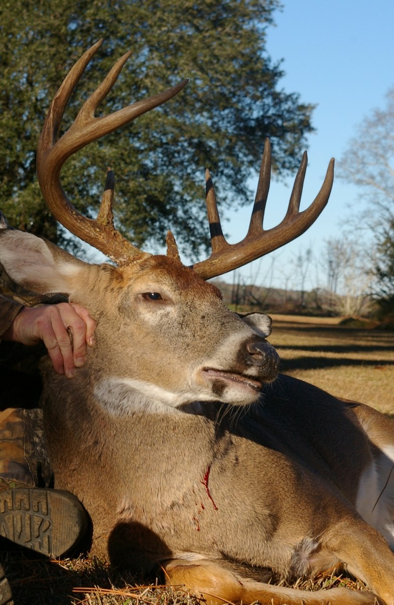Deer Hunting 47