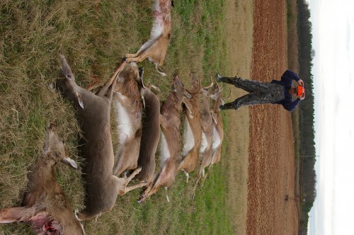 Deer Hunting 9